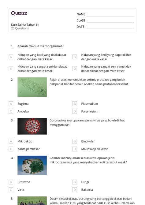 50 Lembar Kerja Kekuatan Dan Interaksi Untuk Kelas 6 Di Quizizz