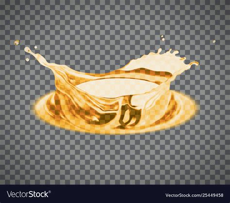 Beer splash isolated on light background Vector Image