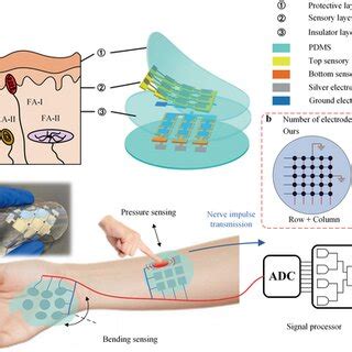 Schematic Of The Skininspired Piezoelectric Tactile Sensor Array A