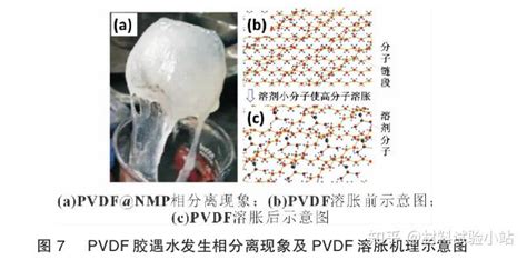 PVDF 锂离子电池负极粘结力的优化以PVDF粘结剂为视角 知乎