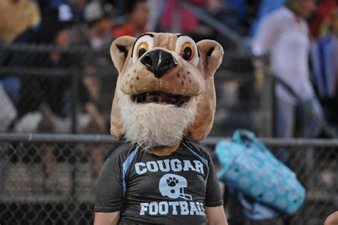 The most common mascot names among NC high schools