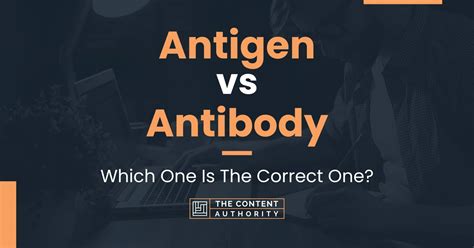 Antigen vs Antibody: Which One Is The Correct One?