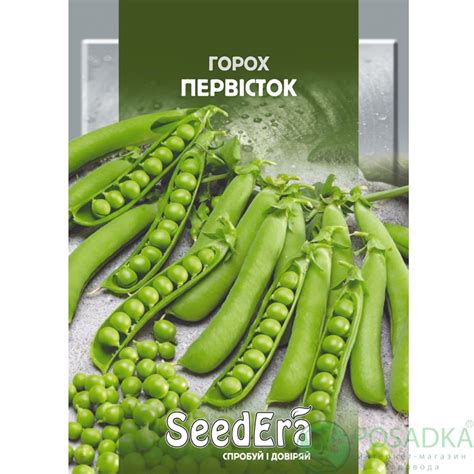 Семена горох овощной Первенец 50г - купить в Украине