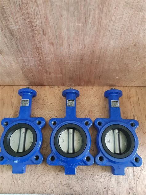 MUELLER Butterfly Valve 66M ANH 6 1 Factorymartonline