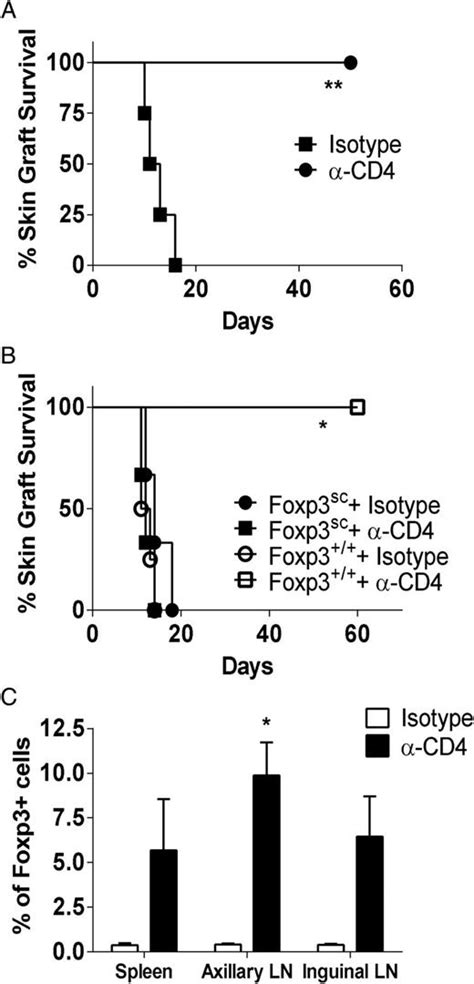 Route Of Antigen Presentation Can Determine The Selection Of Foxp3