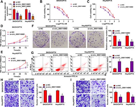 Circ 0061140 Silencing Repressed The PTX Resistance And Development Of