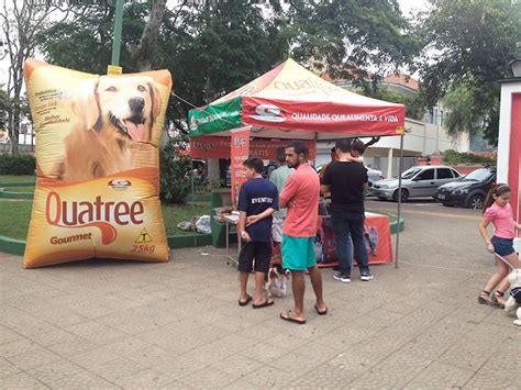 ONG 4 Patas em Paraisópolis MG Quatree