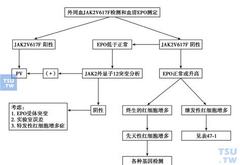 附图 继发性红细胞增多症 血液病学 天山医学院