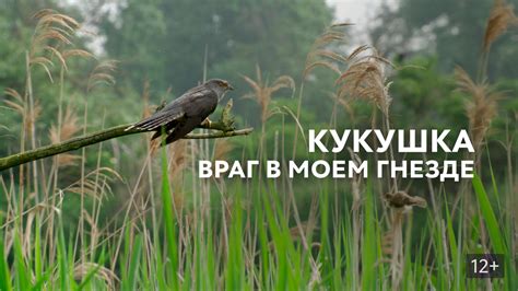 Кукушка. Враг в моем гнезде (фильм, 2017) - актёры и съёмочная группа