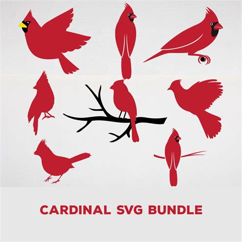 Cardinal SVG Bundle Cardinal Silhouette – MasterBundles