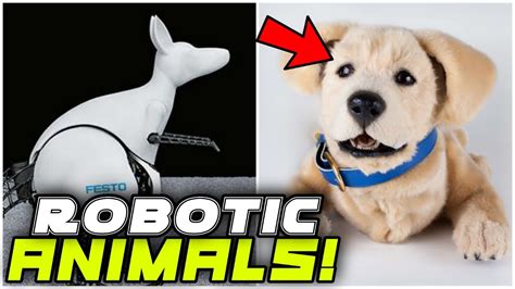 Amazing Robotic Animals You Must See Youtube