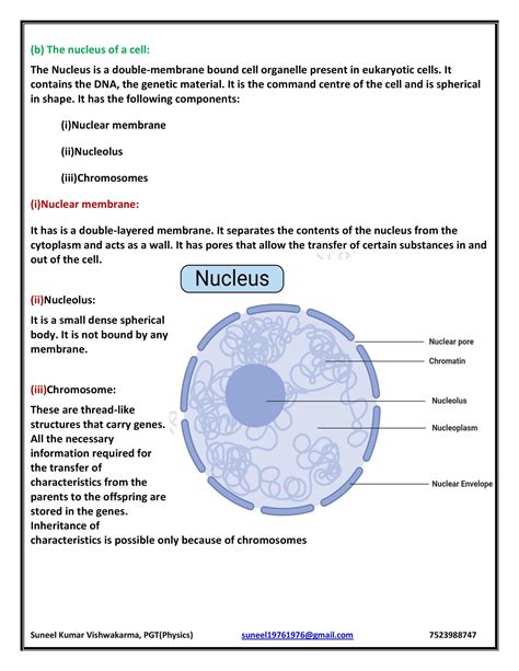 Chapter-8.Cell — Structure and Functions