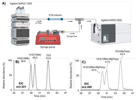 A Illustrative Schematic Of Post Column Charge Switching LC MS MS