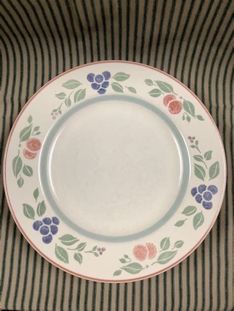 Set Of Vintage Pfaltzgraff Garden Party Plates Etsy