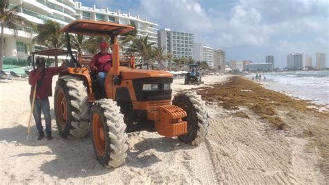 Solo en Cancún se han recolectado más de mil toneladas de sargazo La