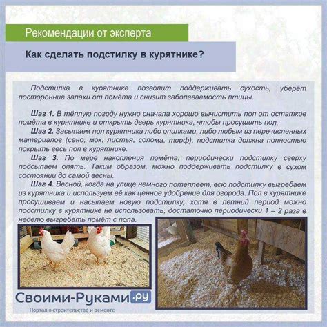 Подстилка для курятника: виды и как сделать на зиму своими руками