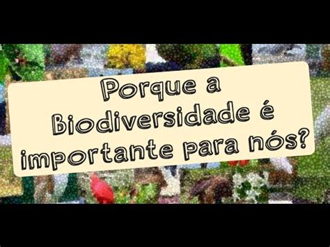 Por que cuidar da biodiversidade é importante Ciência 2024