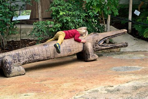 Girl Lying On Wooden Crocodile Sculpture · Free Stock Photo