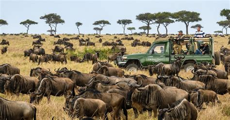 Nairobi Safari Di Giorni Al Masai Mara E Al Lago Nakuru Di Fascia