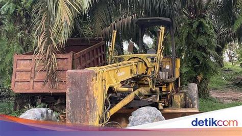 Jaksa Sita 1 002 Hektare Tanah Perkebunan Terkait Kasus Surya Darmadi