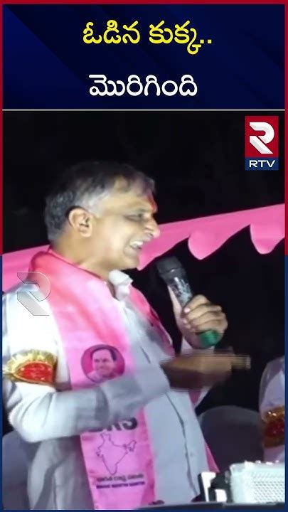 Harish Rao Sensational Comments On Cm Revanth Reddy ఓడిన కుక్క