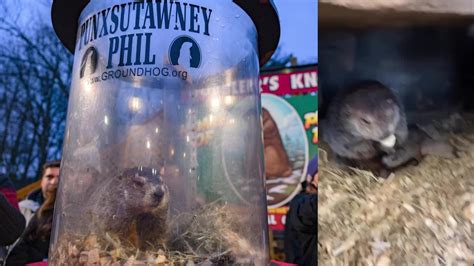 You Can Name Punxsutawney Phil’s Heirs - Videos from The Weather Channel