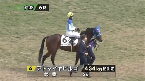 Jra Fun On Twitter 京都6r 3歳新馬戦に、アドマイヤビルゴ。 母の イルーシヴウェーヴ はフランスg1の勝ち馬で