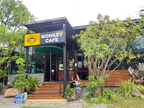 รป Monkey Cafe bangsapan