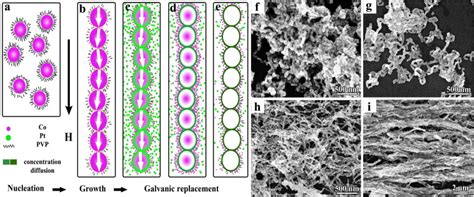 Schematic Formation Of CoPt Hollow Nanochains Ae A Formation Of