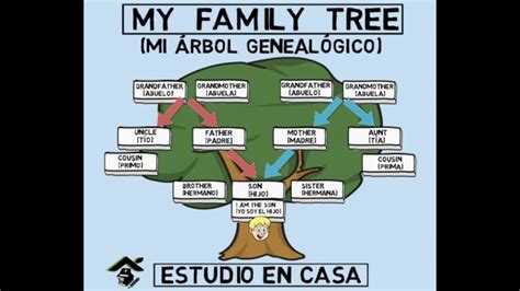 Descubre La Gu A Definitiva Para Crear Un Rbol Geneal Gico De Tu