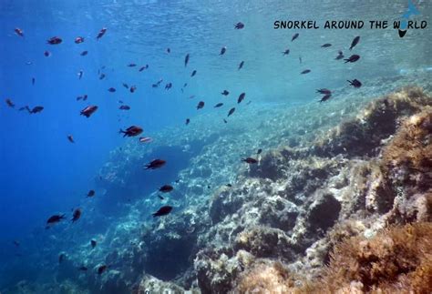 Snorkeling in Malta - Best places to visit | Snorkel Around The World