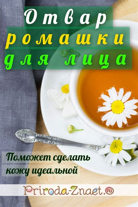 Отвар ромашки для лица – сделайте свою кожу идеальной | Лицо, Маски для ...