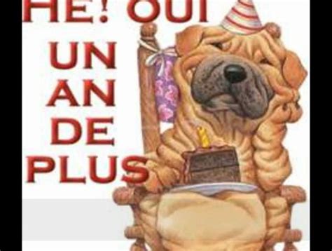 Imprimable drôle joyeux anniversaire humour chien 257704