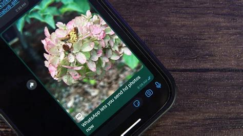 Comment Envoyer Des Photos En Qualit Hd Sur Whatsapp