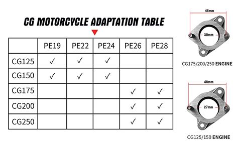 Nibbi Carburetor Pe28mmfit 200cc—250cc Flange Motorcycle