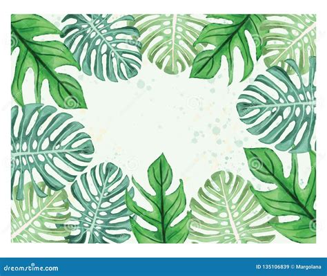 Watercolor Illustration Of Tropical Leaves Monstera Leaves Border Frame