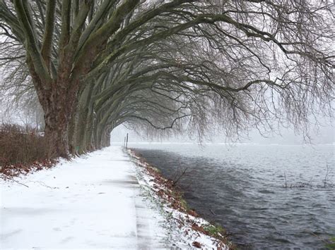 A Snowstorm Over Lake Baldeneysee in the German City of Essen ...