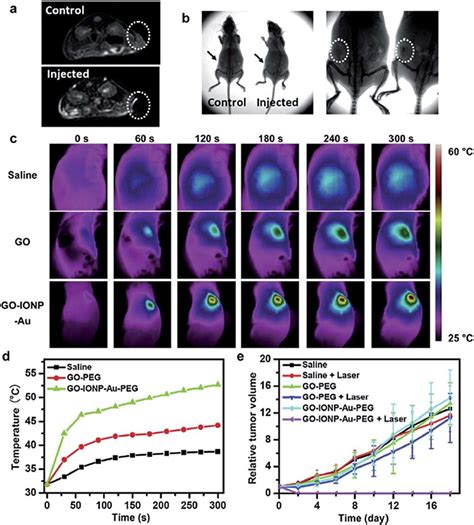 A T 2 Weighted MR Images Of 4T1 Tumor Bearing Mice Before Top And