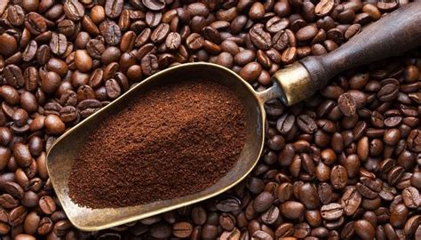 Какой кофе лучше, молотый или в зернах – сравнение двух видов