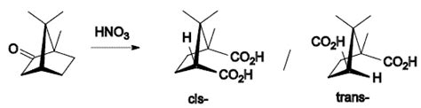 Camphor - New World Encyclopedia