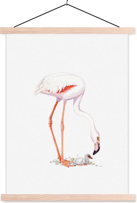 Illustration Aquarelle D Un Flamant Rose Avec Son Poussin Affiche