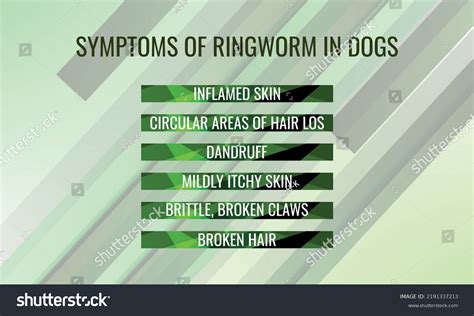 Symptoms Ringworm Dogs Vector Illustration Medical Stock Vector ...