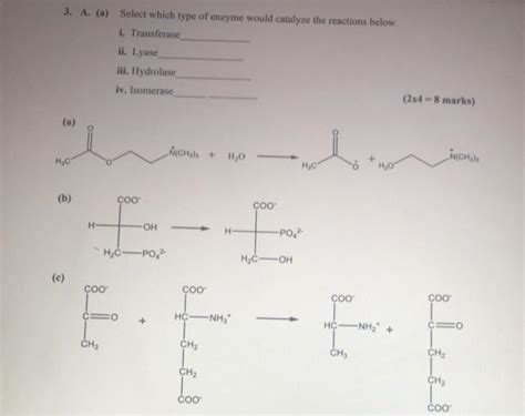 Solved A A Select Which Type Of Enzyme Would Catalyze Chegg