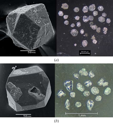 Sem Images Left Showing The Sample Morphologies And Photographs