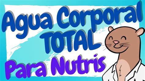 Qué es el Agua Corporal Total ACT ACT LIC y LEC en Nutrición