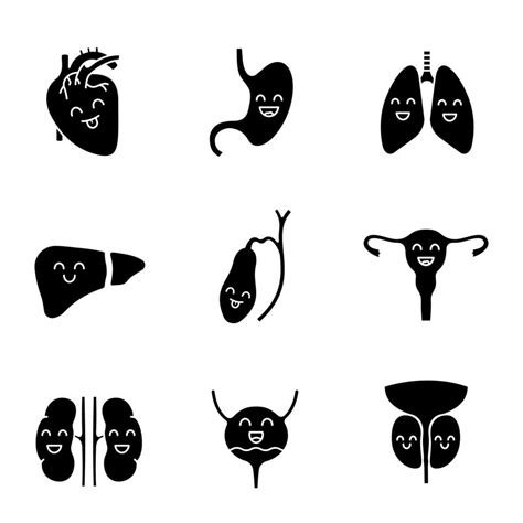 Smiling Human Internal Organs Glyph Icons Set Respiratory Urinary