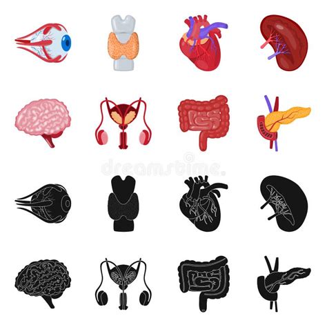 Vector Design Of Biology And Scientific Symbol Set Of Biology And