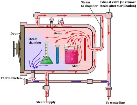 Autoclave Sterilizers 101 How They Work Plus Safety Tips