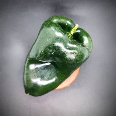 Poblano Seeds – PepperMerchant.net