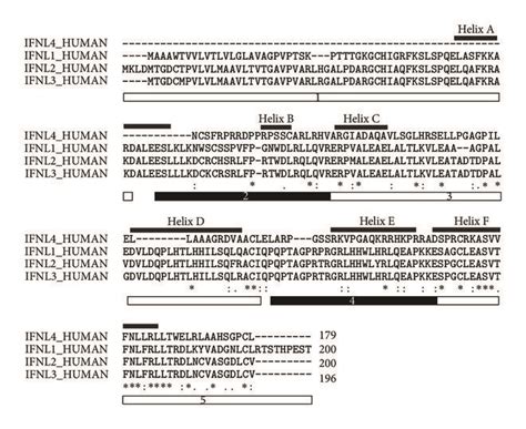 Sequence Alignment And Amino Acid Conservation Of Ifnls Clustal Omega